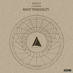 Night Tranquility (Dyukanya Remix)